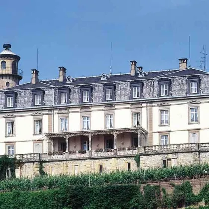 ---HISTORICAL COUNTRY CHATEAU IN ALSACE--- - Bild 2