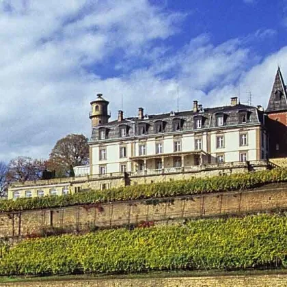 ---HISTORICAL COUNTRY CHATEAU IN ALSACE--- - Bild 3