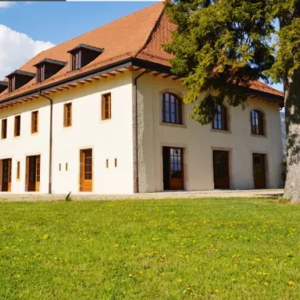 ---MAGNIFICENT VILLA  WITH LARGE LANDSCAPE ON THE COUNTRYSIDE--- - Bild 3