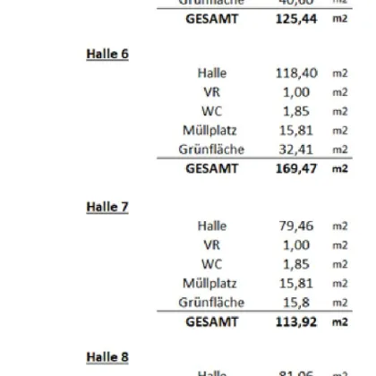 Neue Miethalle - Bild 2