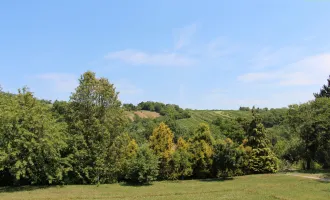 Traumhaftes Villengrundstück mit baugenehmigter Planung