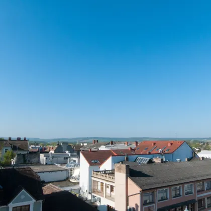 WOHNEN AUF HÖCHSTEM NIVEAU - TRAUMHAFTE FAMILIENWOHNUNG MIT GROßER TERRASSE - Bild 3