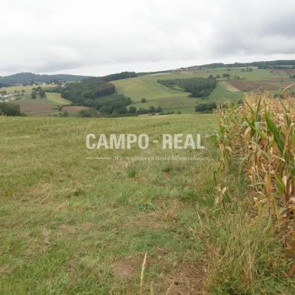 CAMPO-LAND- und FORSTWIRTSCHAFT: Hochwasserfrei - ca. 10 ha Wald und 7 ha Acker - regionale Produkte produzieren - nachwachsende Zinsen - BAUMSPAREN - die neue internationale Anlageform - Region Wienerwald - Bild 2