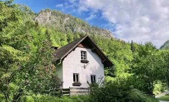 Ferienhaus im Wald - Hideaway im Naturresort