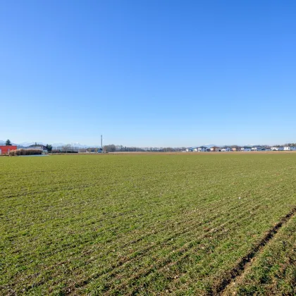 BAULAND Hörtendorf | ca. 12.700 m2 - teilweise Bauland-Wohngebiet - Bild 3