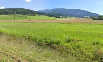 ** Baugründe in Weißkirchen - 1.122 m² und 1.959 m² in Top Lage ++