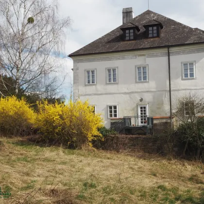 Historisches Herrenhaus mit Nebengebäuden in schönster Alleinlage in NÖ - Bild 2