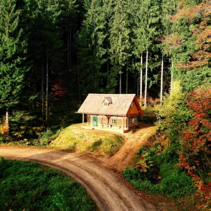 Waldhütte im Naturresort - Bild 3