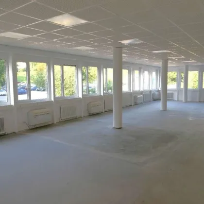 Großzügiges Open-Space-Büro in Top-Lage von Linz - 139m² - Bild 2