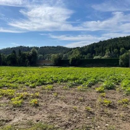 Baugrundstück mit Grünlandanteil für Projektentwickler - Bild 3