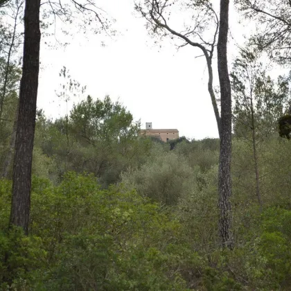 Großartiger, rustikaler Bauernhof mit historischen Häusern in Algaida / Spanien - Objekt 210471 - Bild 3