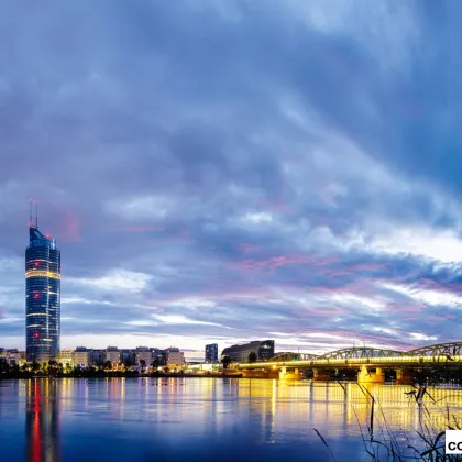 MILLENNIUM TOWER - Büroflächen zu mieten - Bild 3