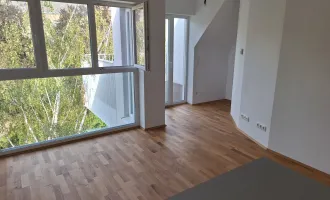 HELLE 2-ZIMMER-DACHGESCHOSS-WOHNUNG!