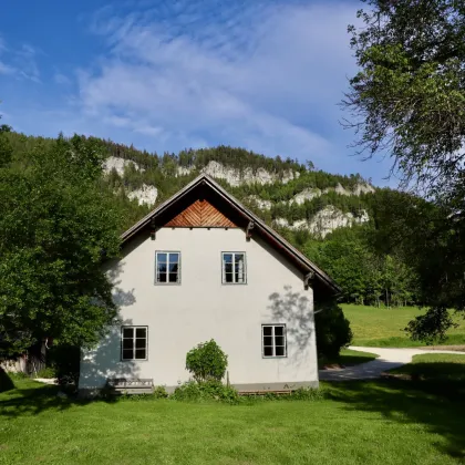 Ferienhaus im Wald - Hideaway im Naturresort - Bild 2