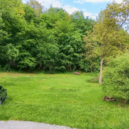 Update! - Freiland Grundstück an der Grazer Stadtgrenze. - Vielfältige Nutzungsmöglichkeiten. - Bild 3