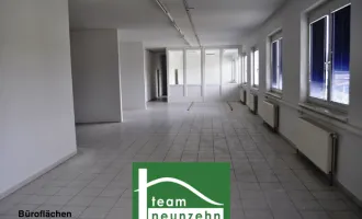 Büro, Geschäft, Werkstatt, Lager! Industriegelände Donnerskirchen! ab 10 m² ab 50€ Netto/Monat!