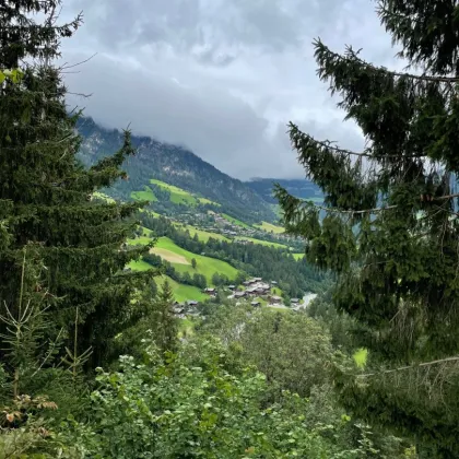 WALD - Bereich Reith im Alpbachtal & Alpbach - Bild 3