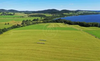 LIPNO REAL: Hochwertiges Ackerland in Seenähe – 92.549 m2 in Pernek