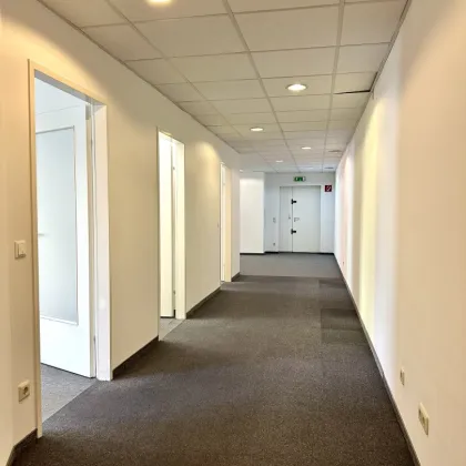 + + + WOHNPARK ERDBERG + + + BÜRO IN VERKEHRSGÜNSTIGER LAGE + + + (reserviert) - Bild 3