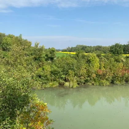 Kleingartenidyll beim Marchfelder Kanal im Eigentum - Bild 3