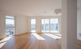 PENTHOUSE WOHNUNG mit Traumausblick (großzügig, hell - einzigartiger Parkblick mit Sonnenuntergang) Top 197