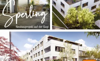 Projekt Sperling - Leben am Froschberg