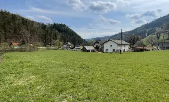 KAINACH BEI VOITSBERG - SONNIGER BAURECHTSGRUND