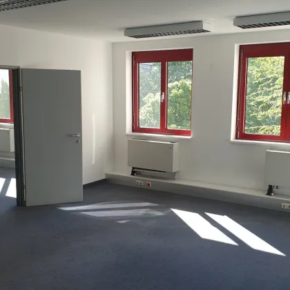 Büro an der Mariahilfer Straße, Hofseite, Grünblick, Neubau mit Tiefgarage - Bild 3