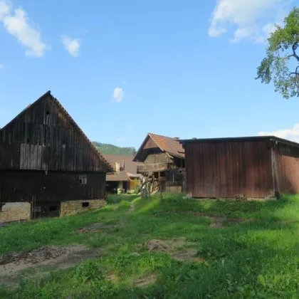 Ehemaliger Bauernhof (Hofstelle) mit ca. 6.934m² Grund - Bild 3