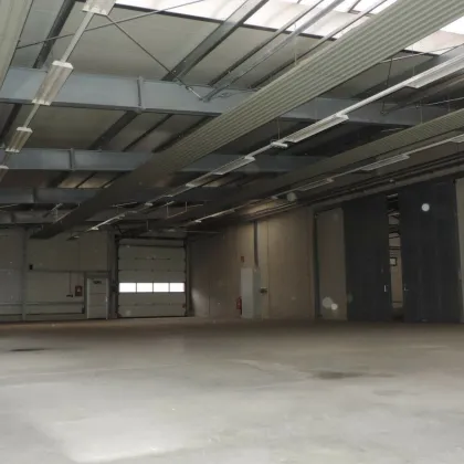 Zur Vermietung gelangt eine Lagerhalle mit ca. 6500 m² Gesamtfläche in Neutal. - Bild 2