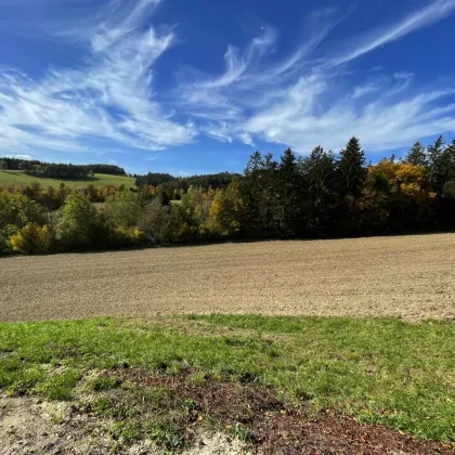 Baugrundstück für Bauträger in Bromberg bei Bad Erlach-Wr.Neustadt-Nähe - Fernblick! - Bild 2