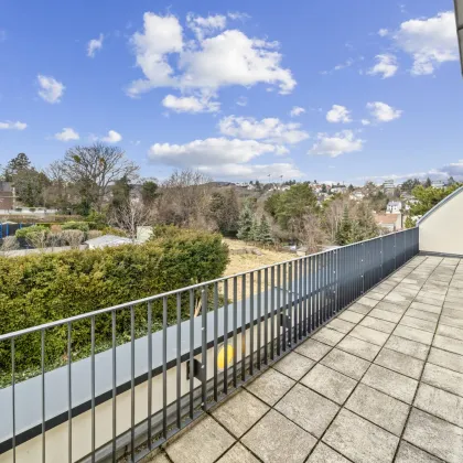 WOHNATELIER SIEVERING- Traumhafte Dachgeschosswohnung mit Weitblick und Terrasse zu vermieten! - Bild 2