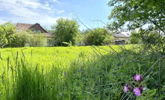 Leben in den Traunauen! Grundstück in Thalheim-Schauersberg