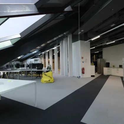 390 m2 | OFFICE SPACES in einem außergewöhnlichen Umfeld. Im Zentrum für Innovation in Österreich. - Bild 3