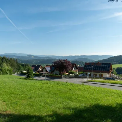 Traumhafte Aussicht: Großer Baugrund am Waldrand - Bild 3