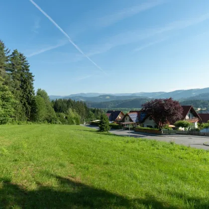 Traumhafte Aussicht: Großer Baugrund am Waldrand - Bild 2