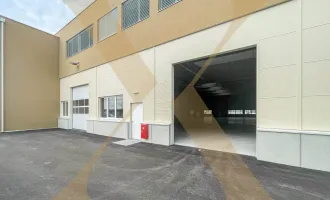 Moderne Neubau-Lagerhalle mit ca. 1.171 m² und Büromöglichkeit in Pasching zu vermieten!