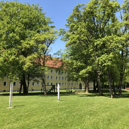 Aufgepasst! Rundumpaket für Familien wird geboten: viel Platz, idyllisch grüne Lage, beste Infrastruktur, zentrumsnah, preiswert! - Bild 2