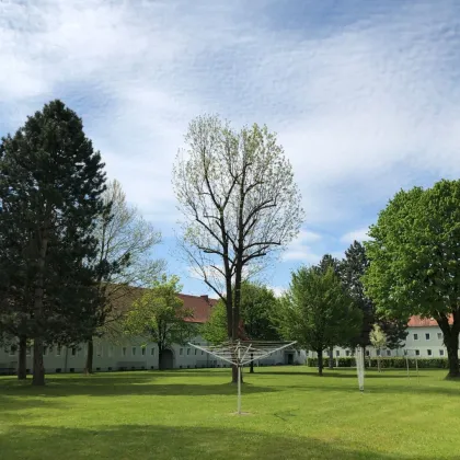 Gemütliche 3-Zimmer-Wohnung mit idealem Schnitt in traumhafter Lage und Top-Infrastruktur im sonnigen Stadtteil Steyr Münichholz! Frei ab 01.10.2024 - Bild 3