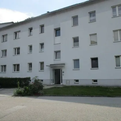 SANIERUNG IN ARBEIT: Perfektes Wohnen für ruhesuchende Naturliebhaber -  ländliche Idylle genießen - wunderbare 3-Zimmer-Wohnung wartet aus Sie! - Bild 2