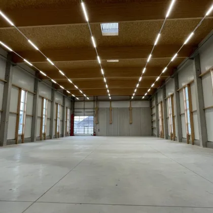 LAGERHALLE (BJ 2022) mit integrieter Bürofläche in logistisch perfekter Linzer Zentralraumlage - (hochregaltaugliche) Innenhöhe 9 m - staufreie Verkehrsanbindung - max. Flexibilität dank moderner Bauweise! - Bild 2