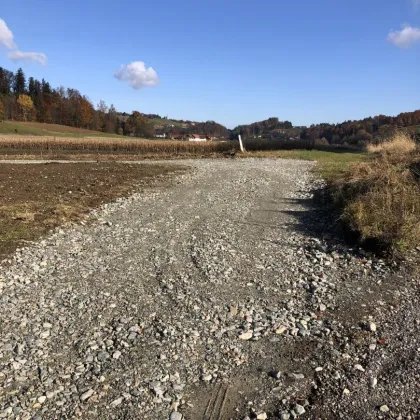 sonniges Grundstück eben, kpl.  aufgeschlossen in  GROSSKLEIN - Bild 3