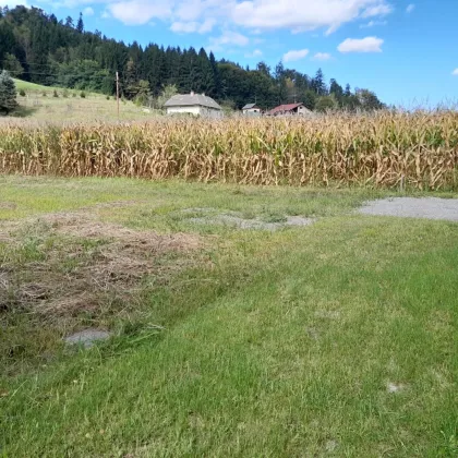 TOPLAGE in GROSSKLEIN*** sonniges Grundstück, eben, aufgeschlossen, wenige Minuten ins Ortszentrum*** - Bild 2