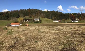 sonniges Grundstück eben, kpl.  aufgeschlossen in  GROSSKLEIN