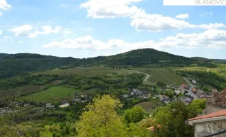 Typisch istrisches Steinhaus in der mittelalterlichen Stadt Motovun