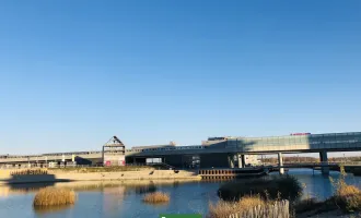 Lichtdurchflutete Ateliers mit Schwimmbiotop! - Traumdachterrasse mit Seeblick! 3 Minuten zur U2 Station