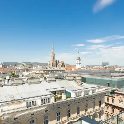 Exklusivität über den Dächern der Wiener Innenstadt mit Pool und traumhaftem Ausblick - Bild 2