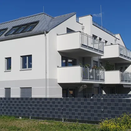 Lichtdurchflutete Neubauerstbezugswohnung mit großer Dachterrasse - inklusive Garagenstellplatz in der Nähe des Zentrums - Bild 2