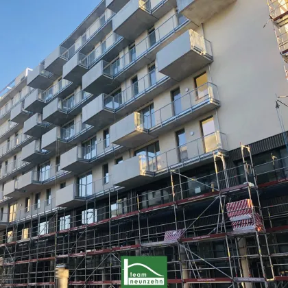 JETZT ANFRAGEN  - Lichtdurchflutete Ateliers mit Schwimmbiotop - Traumdachterrasse mit Seeblick! 3 Minuten zur U2 Station - Bild 3