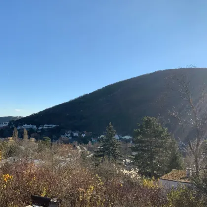 Architekten-Einfamilienhaus im Rohbau / Pool / am Südhang mit Top-Ausblick über Hinterbrühl! - Bild 3